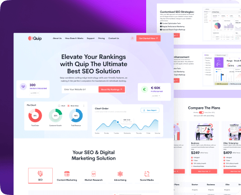 Business dashboard project by Quick Software